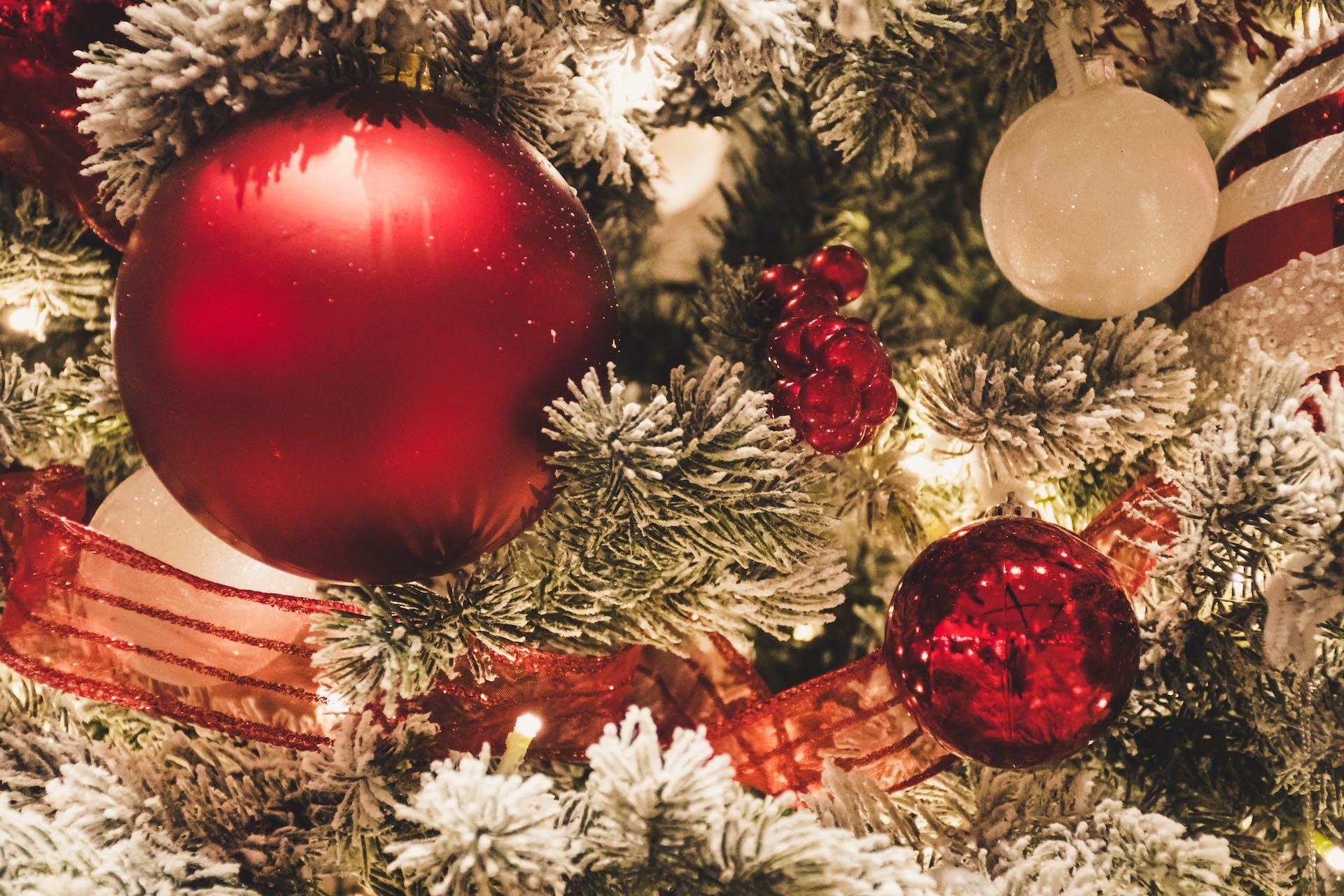 ¿Cómo decorar tu árbol de Navidad?